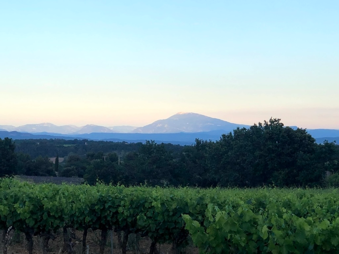 Panorama du Ventoux depuis la Mas Labegude